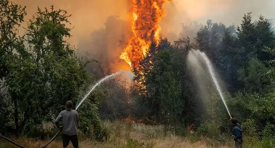 Brigadistas combatiendo un incendio forestal